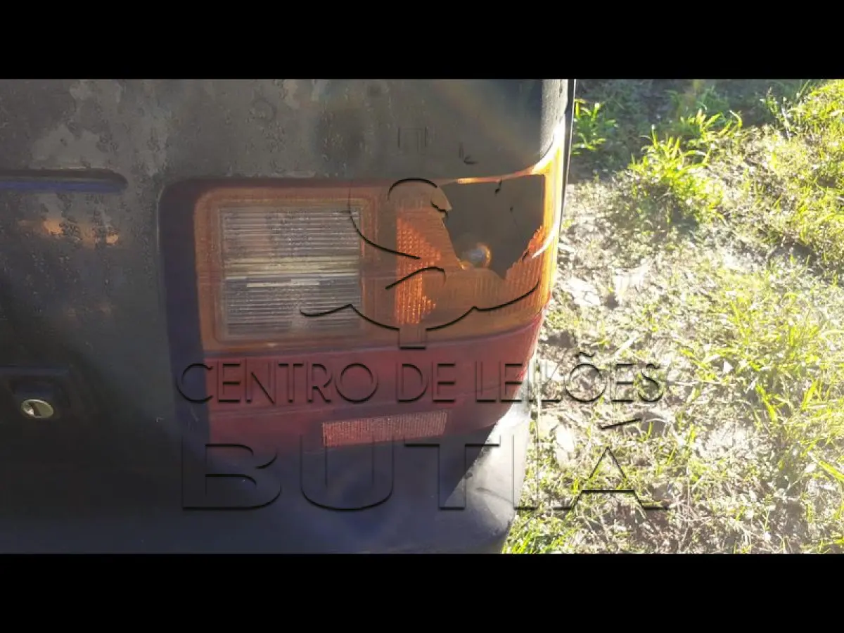 LOTE 0030