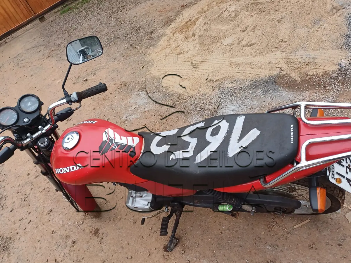 LOTE 0276