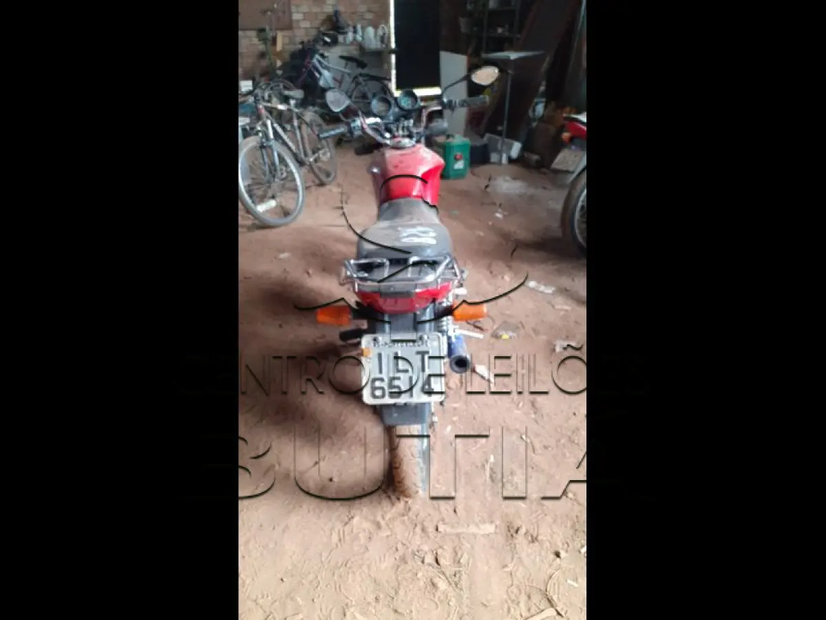 LOTE 0009