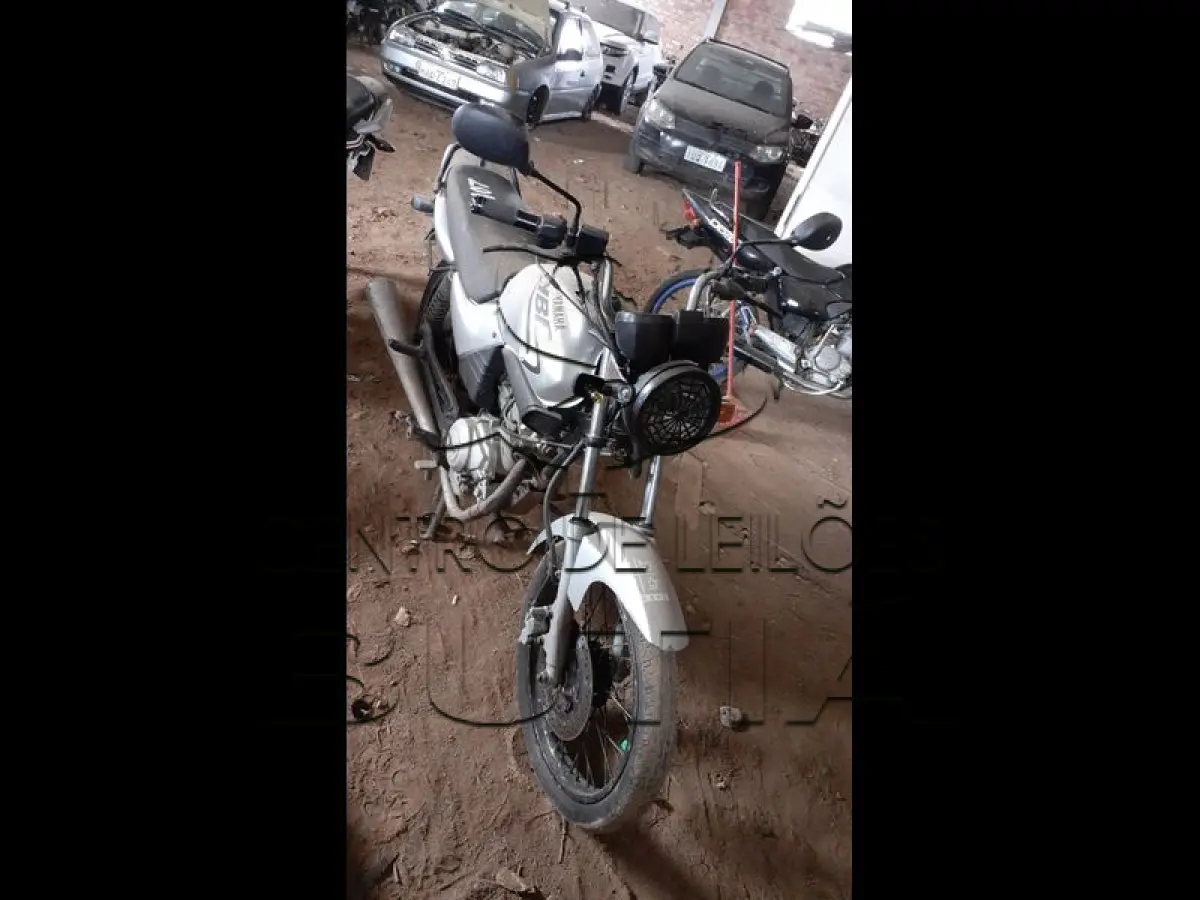 LOTE 0003
