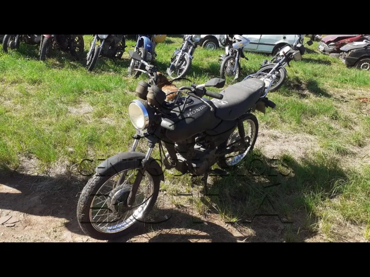 LOTE 0017