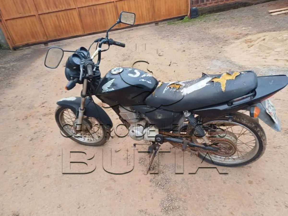 LOTE 0270