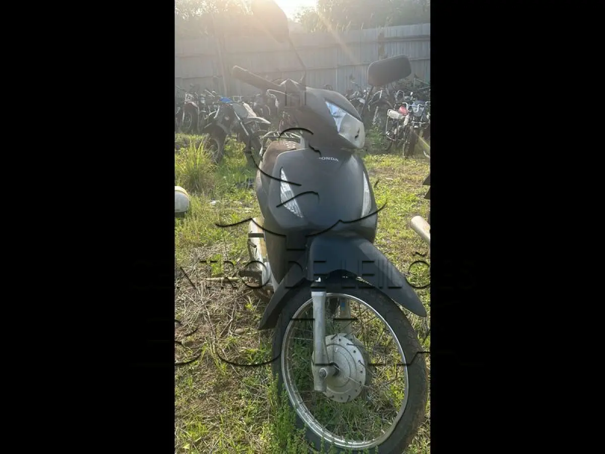 LOTE 0005