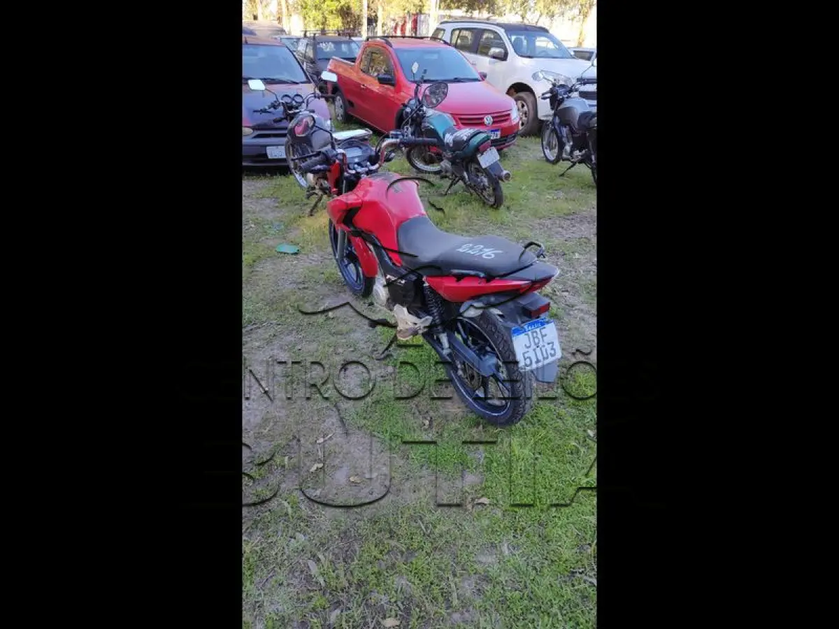 LOTE 0097