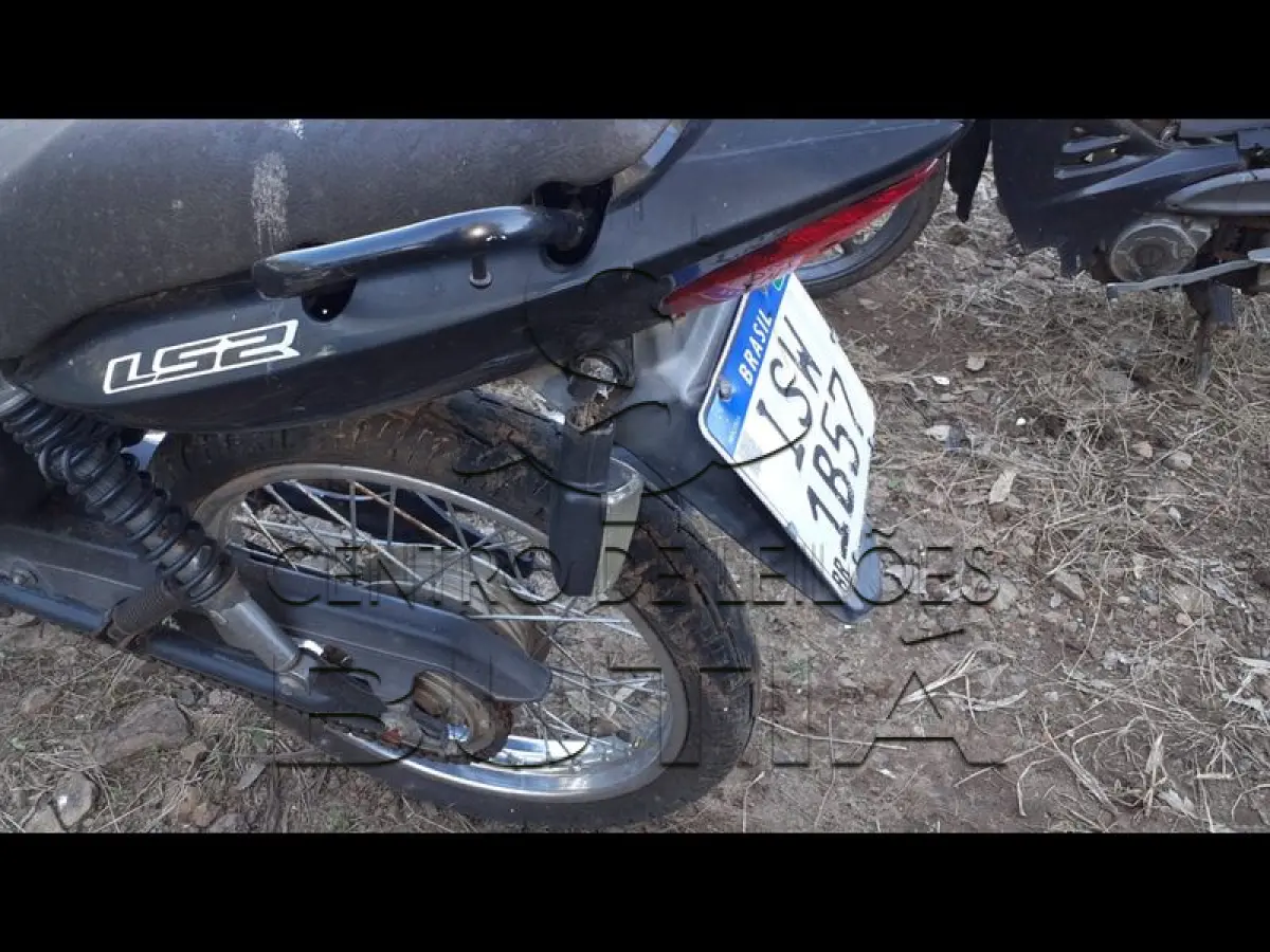 LOTE 0094