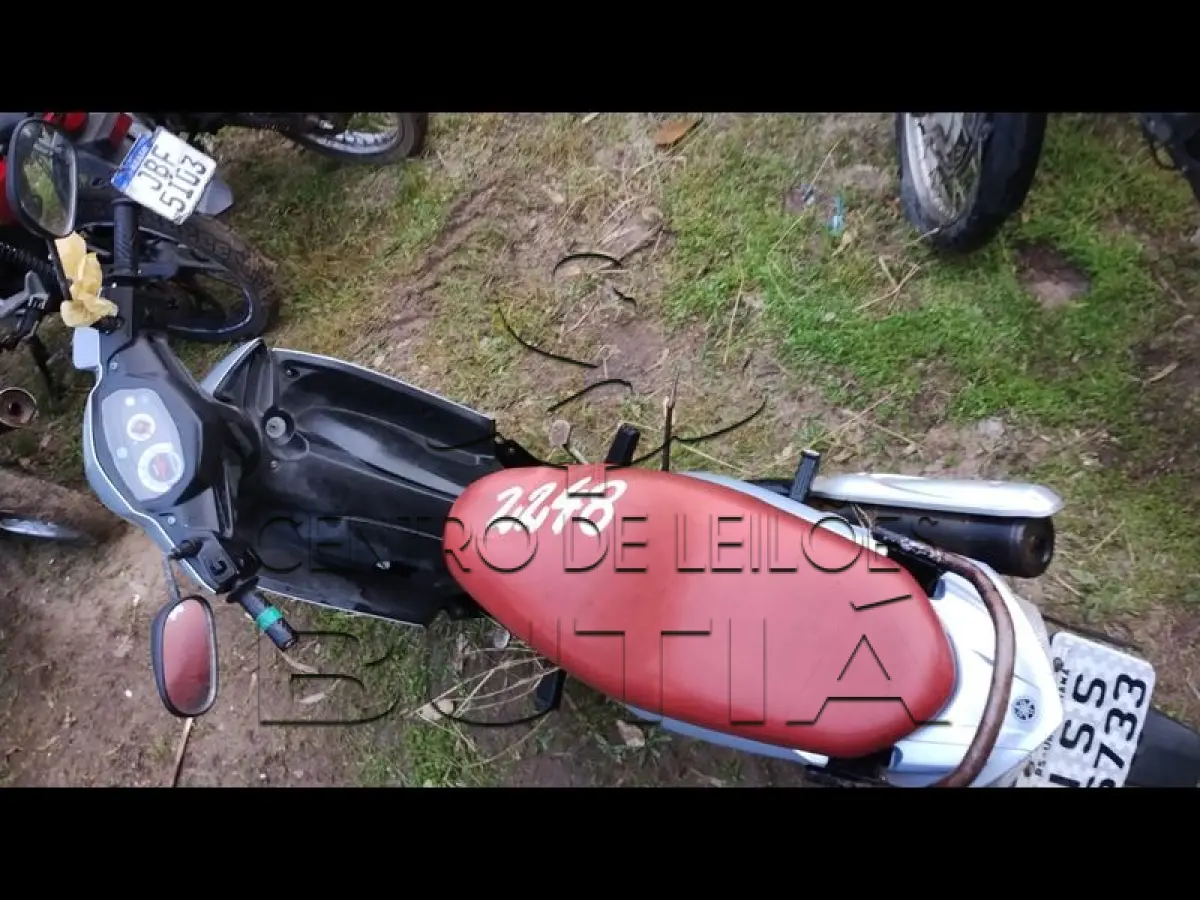 LOTE 0102