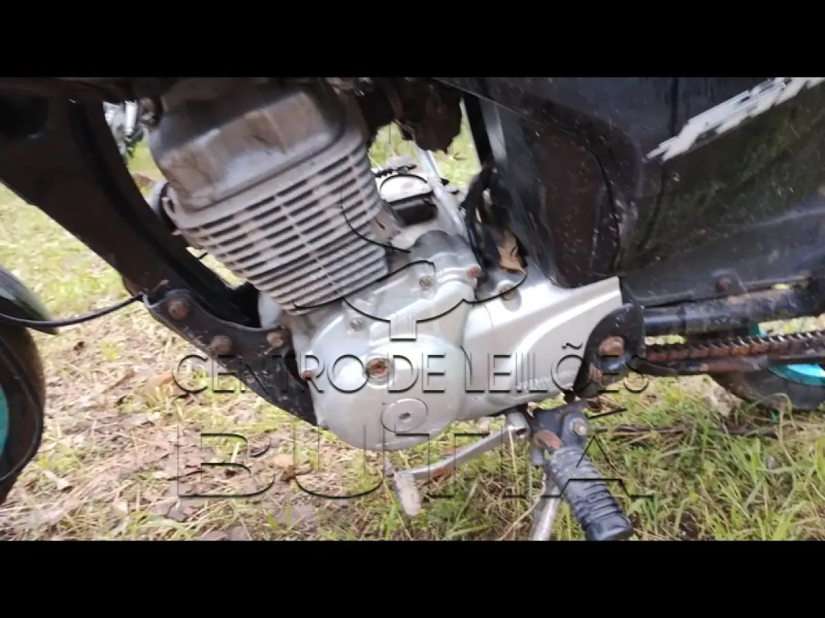 LOTE 0109