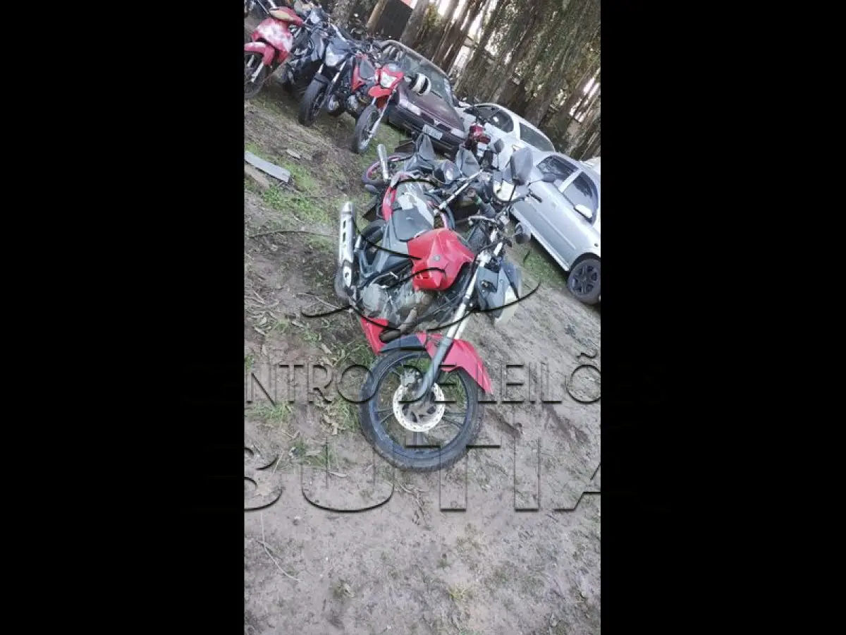LOTE 0090
