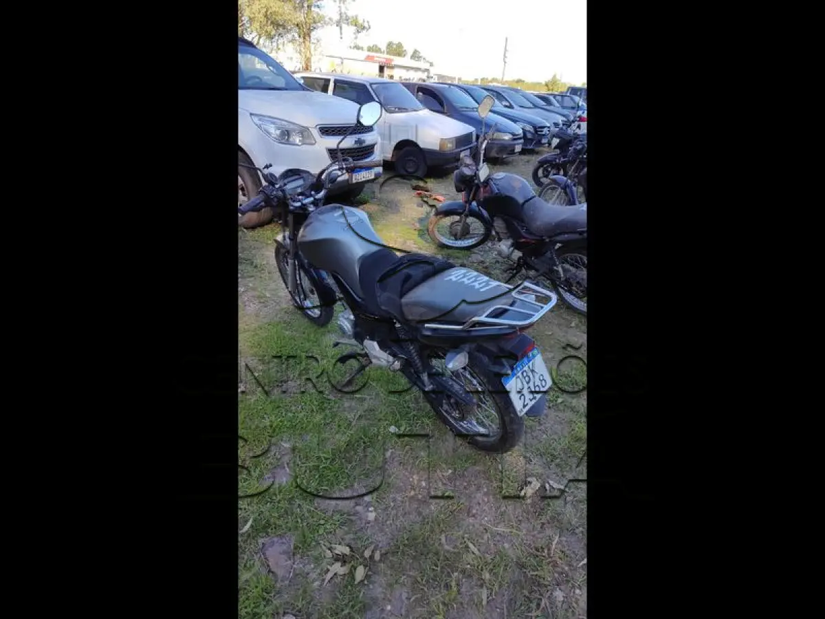 LOTE 0098
