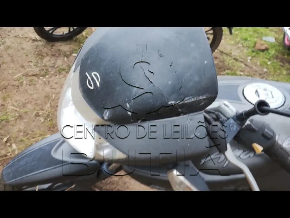 LOTE 0100