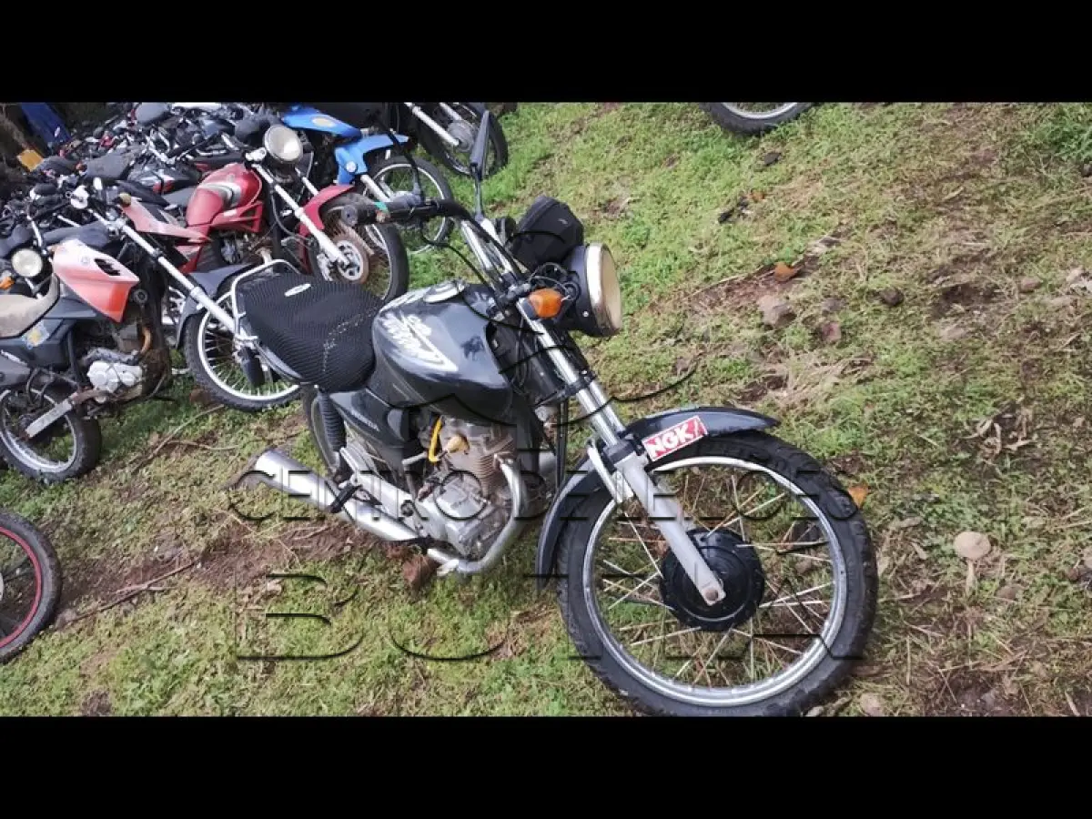 LOTE 0091