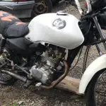 Foto 1
