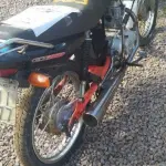 Foto 5