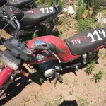 Foto 2