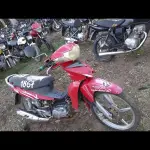 Foto 9