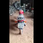 Foto 5