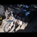 Foto 7