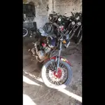Foto 10