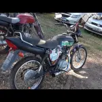 Foto 7