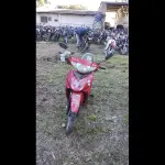 Foto 8
