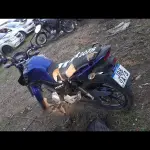 Foto 7