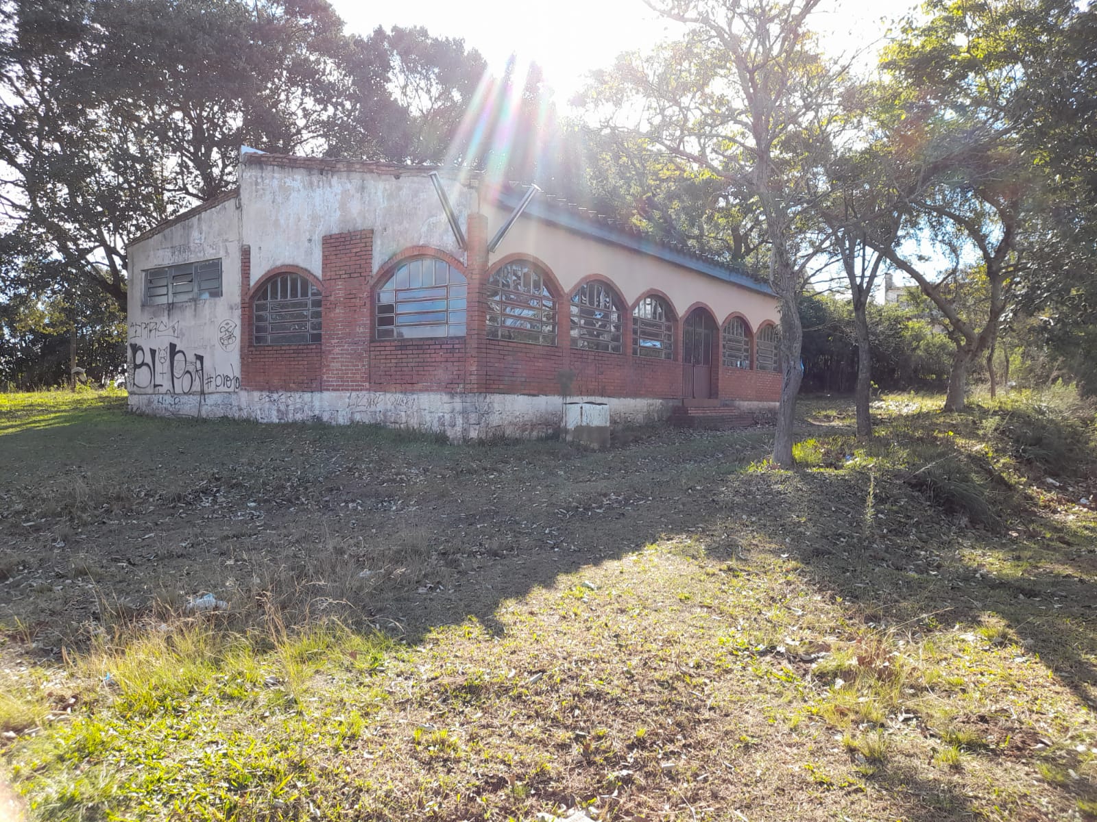 Foto 6